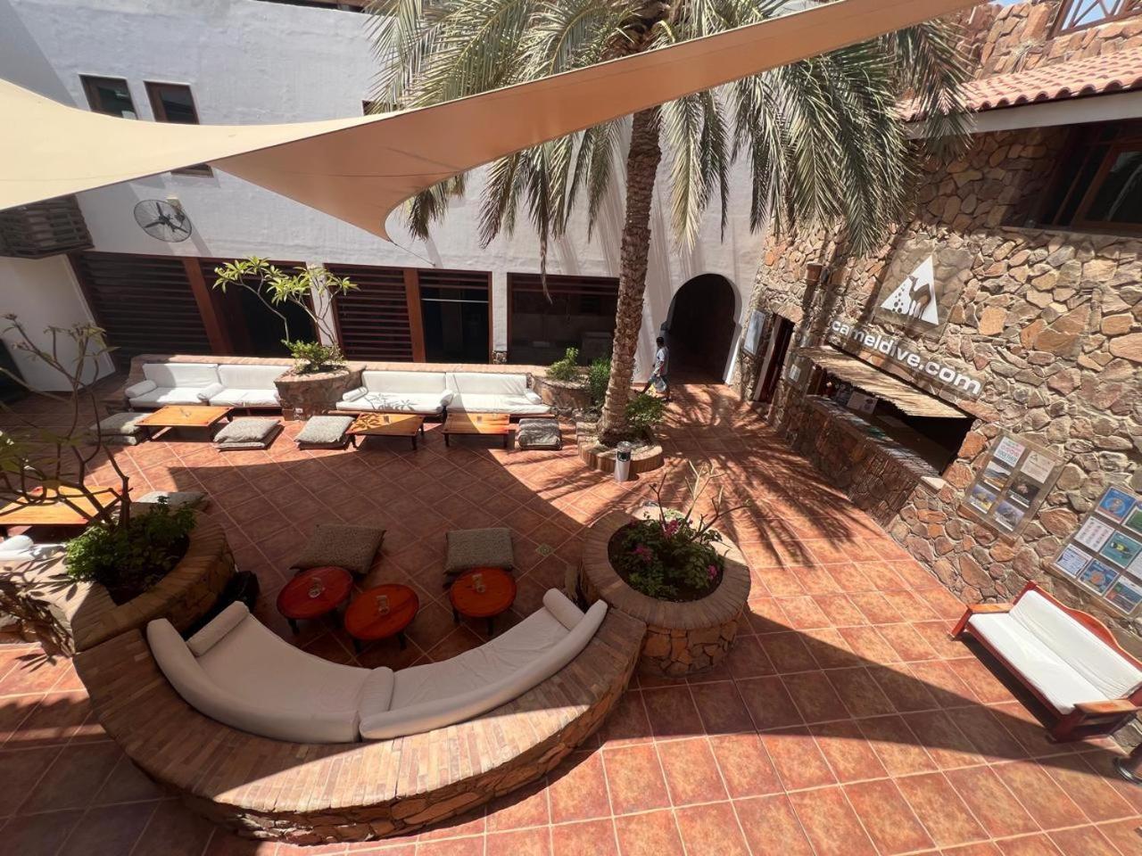 Camel Dive Club & Hotel - Boutique Hotel Sharm el-Sheikh Bagian luar foto
