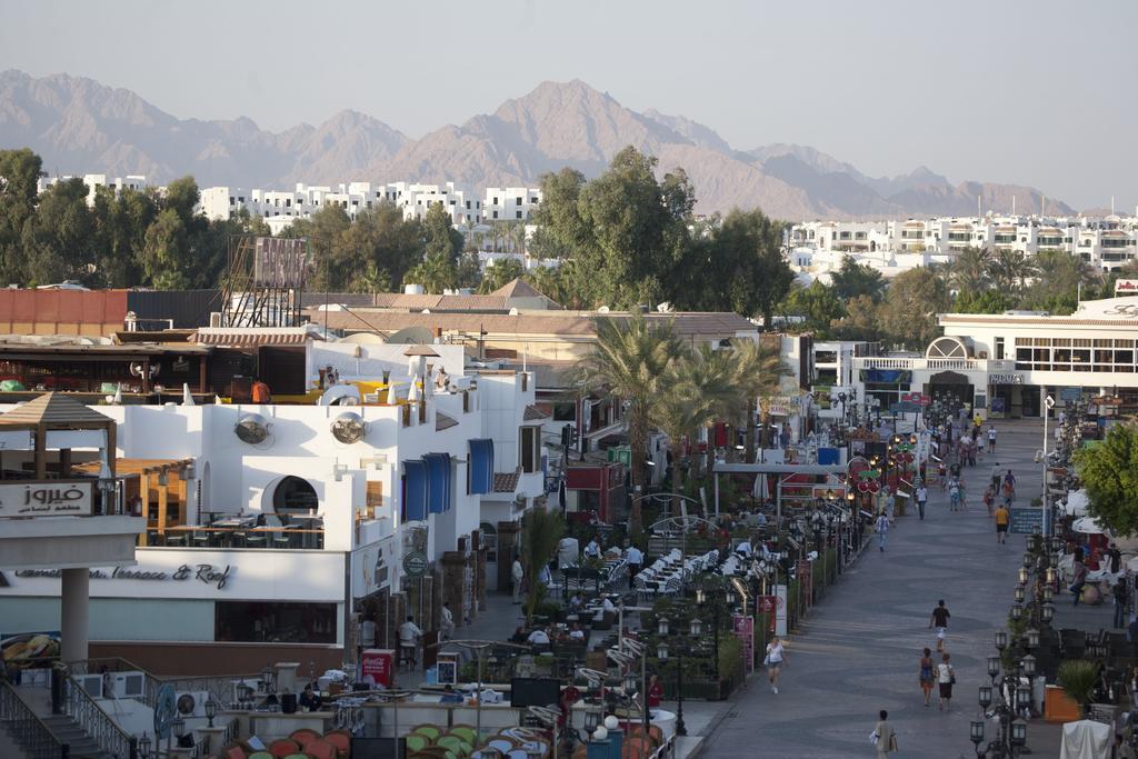 Camel Dive Club & Hotel - Boutique Hotel Sharm el-Sheikh Bagian luar foto
